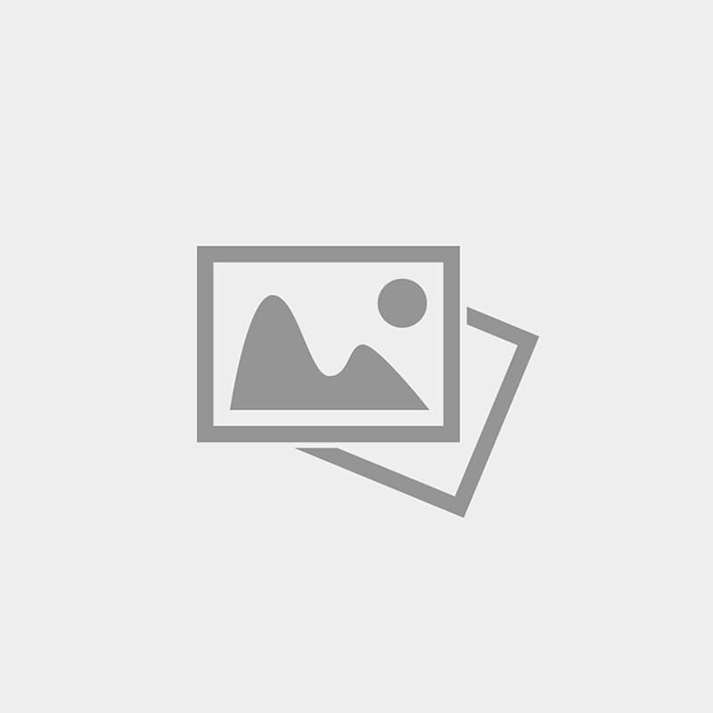 Профнастил Профлист-Металл C8 1 Полимерный RR 32